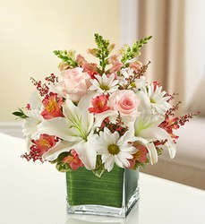 Healing Tears - Pink and White Davenport Florist - Same Day Flower Delivery - Flower Power 